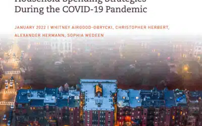 Pandemic Household Spending Strategies
