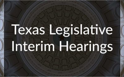 TAAHP Board members testify at Interim Charge hearings